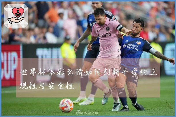 世界杯体彩竞猜如何判断平台的正规性与安全性