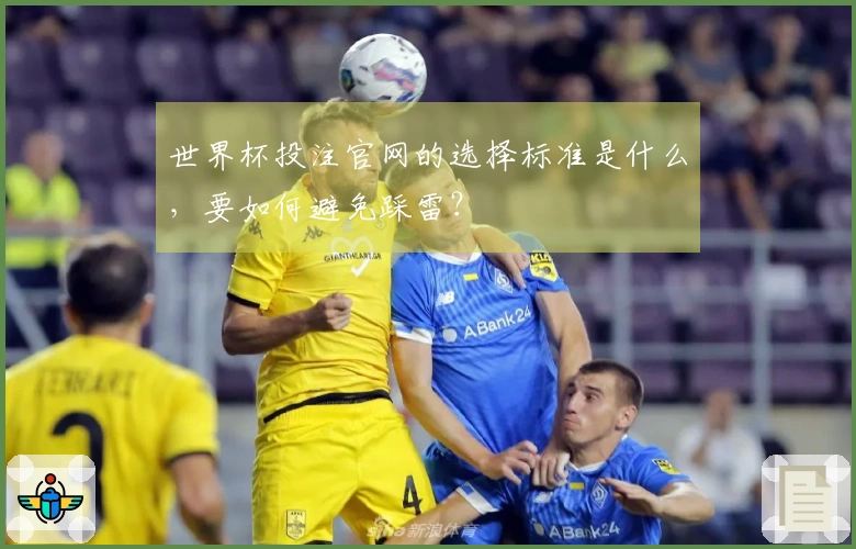 世界杯投注官网的选择标准是什么，要如何避免踩雷？