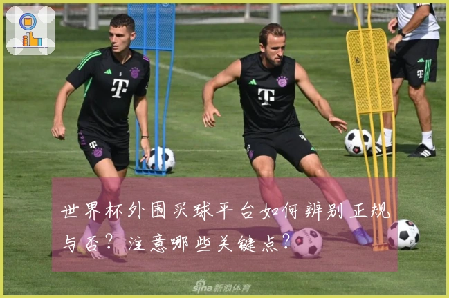 世界杯外围买球平台如何辨别正规与否？注意哪些关键点？