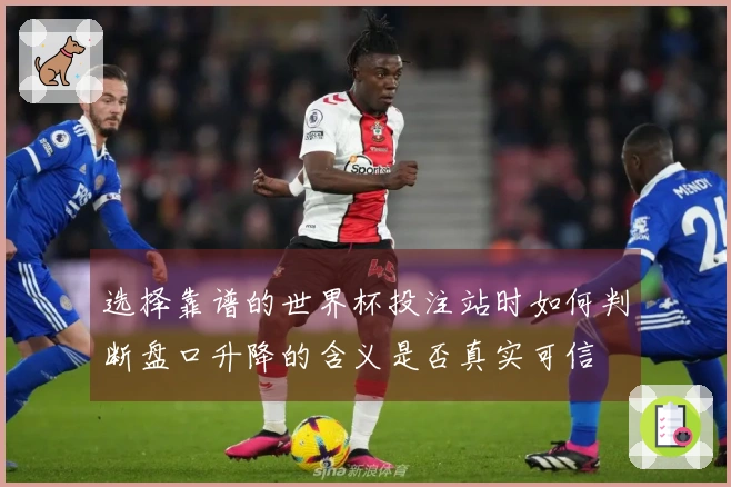 选择靠谱的世界杯投注站时如何判断盘口升降的含义是否真实可信