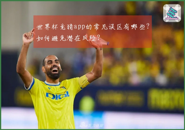 世界杯竞猜app的常见误区有哪些？如何避免潜在风险？